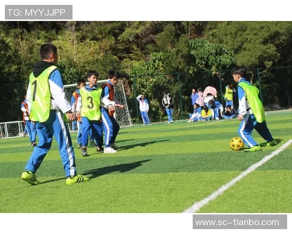 足球世界中的追逐与梦想假如我捕获了你将如何改变人生