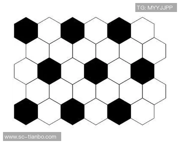 足球场上的六边形魅力探秘与战术运用分析