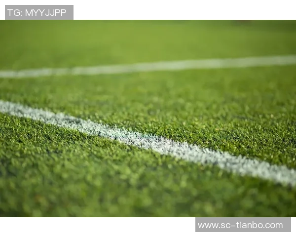 草地上的足球欢快滚动传递着友谊与激情的无限可能